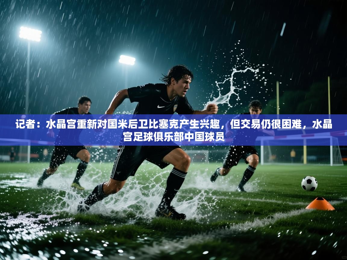 记者：水晶宫重新对国米后卫比塞克产生兴趣，但交易仍很困难，水晶宫足球俱乐部中国球员