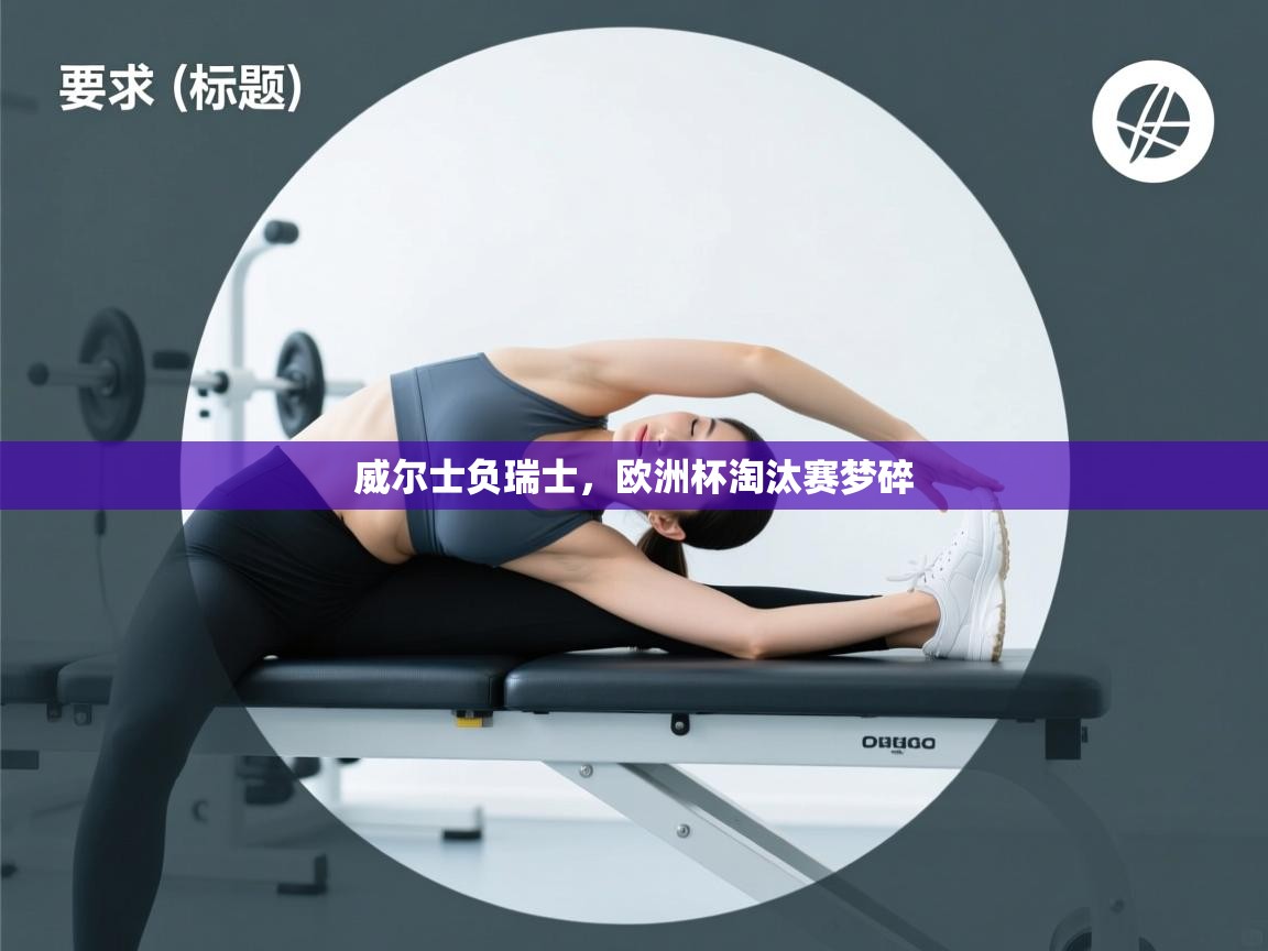 威尔士负瑞士,欧洲杯淘汰赛梦碎 第2张