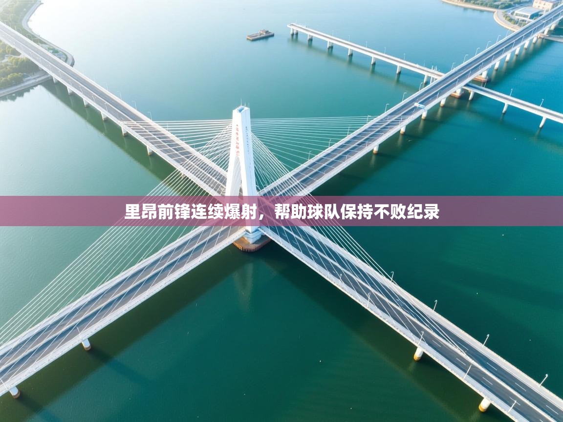 里昂前锋连续爆射，帮助球队保持不败纪录  第1张