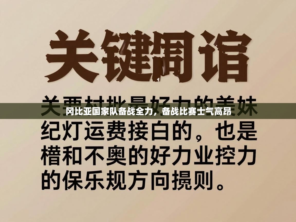 冈比亚国家队备战全力，备战比赛士气高昂  第2张