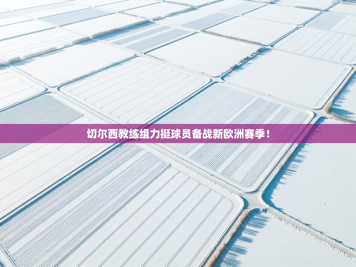 切尔西教练组力挺球员备战新欧洲赛季！