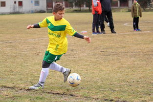 开运体育官网-欧洲国家杯赛事竞争激烈，赛场上风起云涌，欧洲国家杯2021小组赛比分